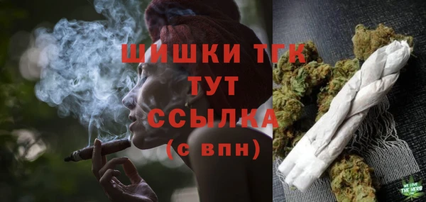 дмт Протвино
